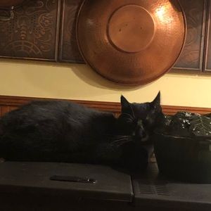 Meet your Posher, David